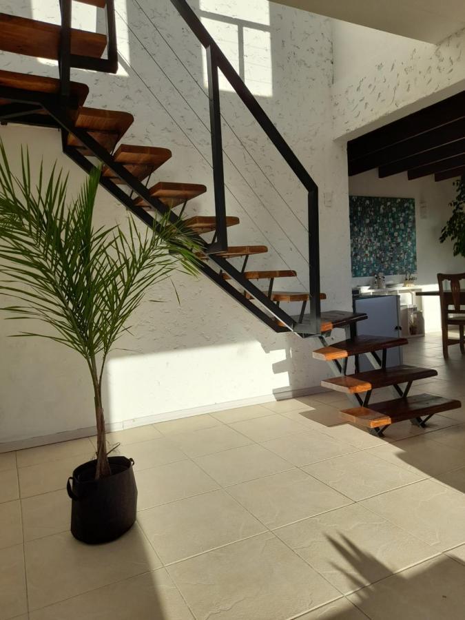 Апартаменты Casa Luminosa Con Parque Y Vista Espectacular Эль-Калафате Экстерьер фото
